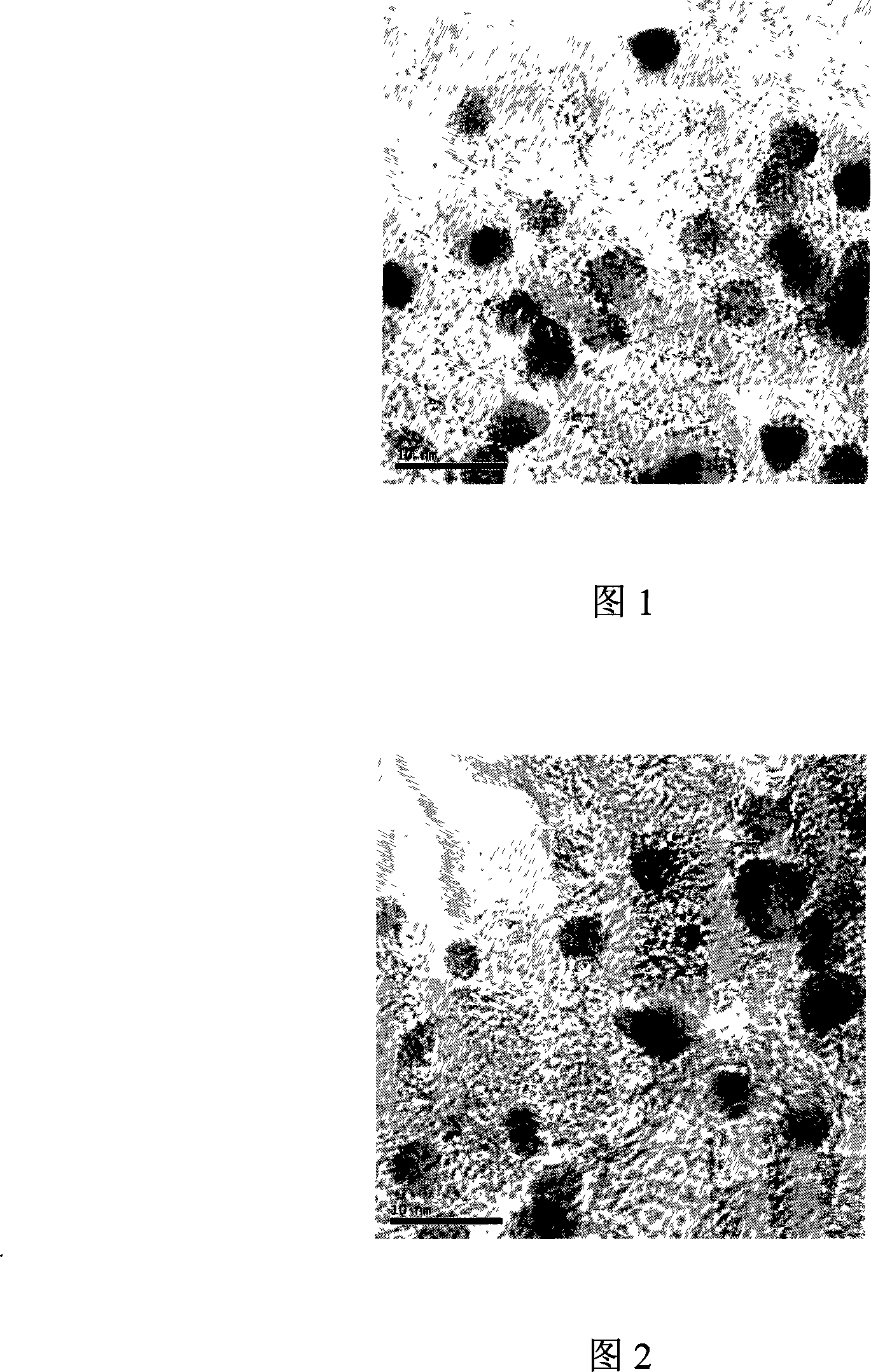 Reverse micelle method for preparing platinum ruthenium/carbon catalyst