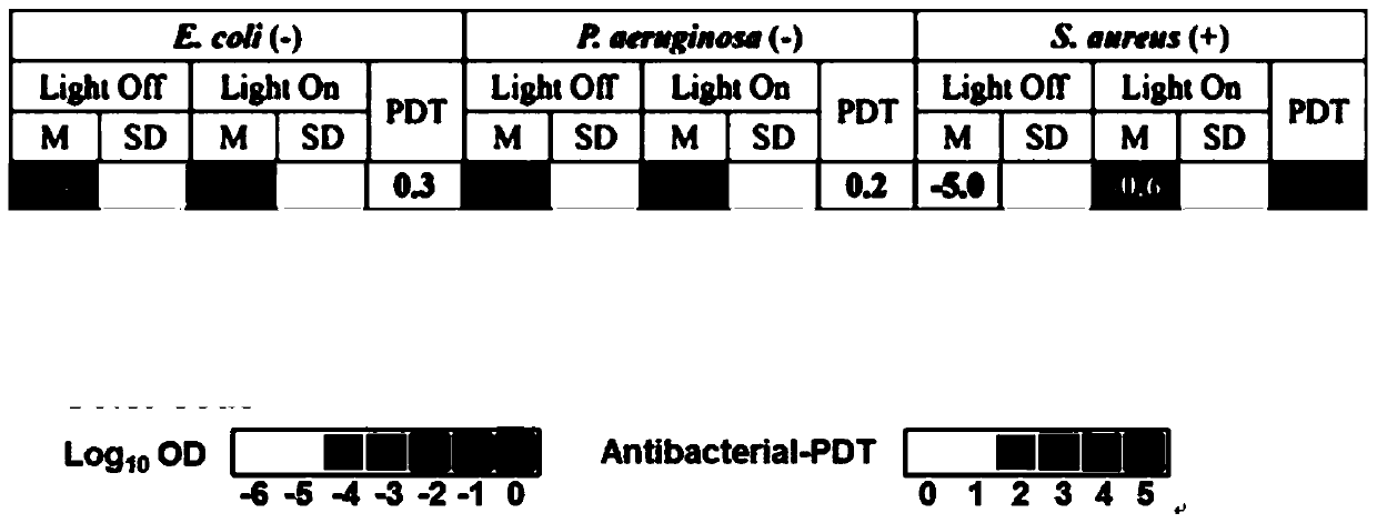 Metalloporphyrin complex and preparation method and application thereof