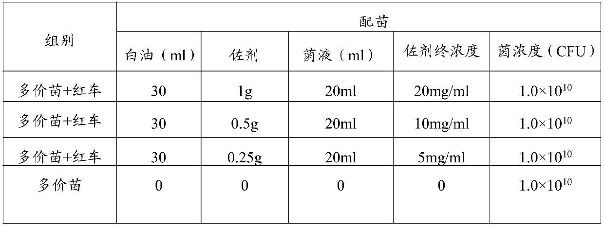 Application of red clover as haemophilus parasuis vaccine adjuvant