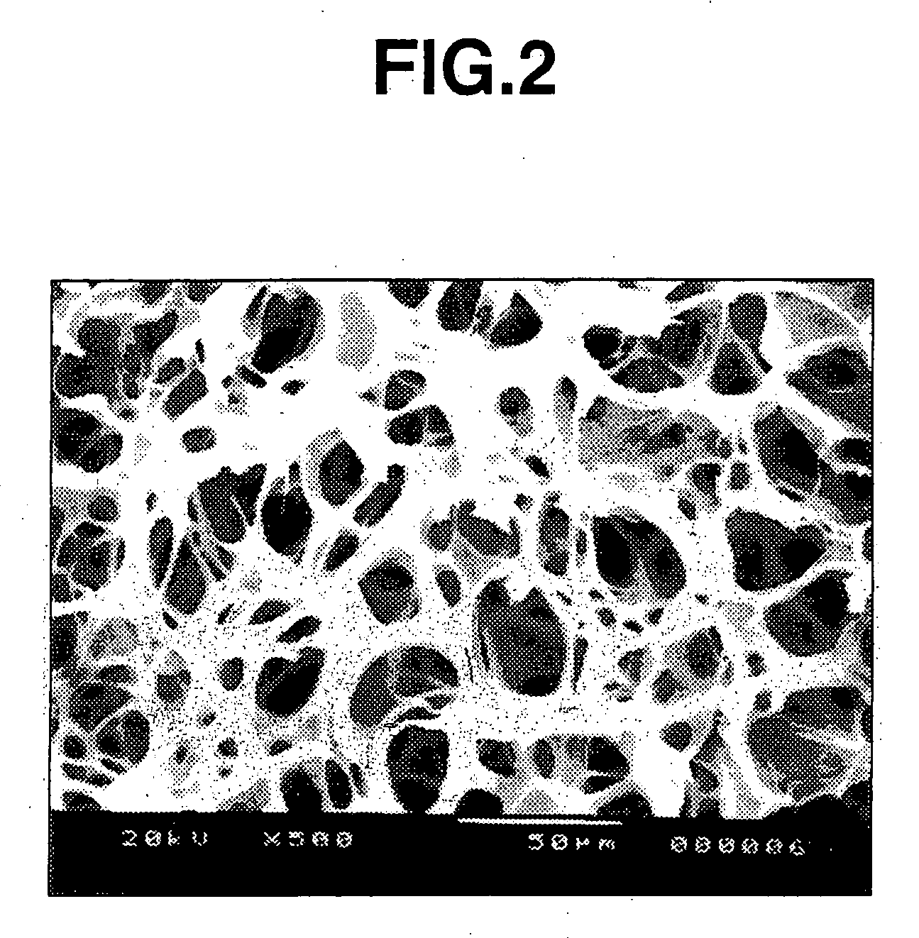 Crosslinked polysaccharide sponge