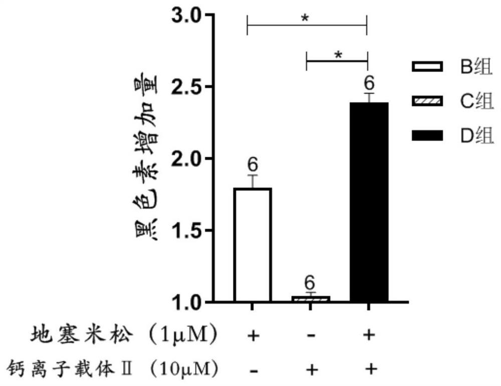 Application of calcium ion carrier in leucoderma treatment