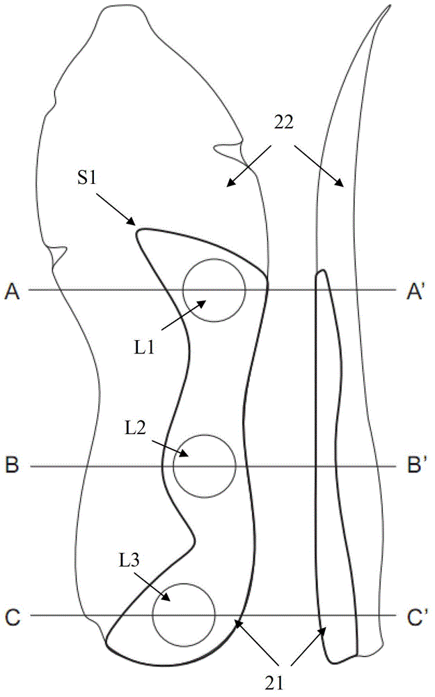 Shoe soles suitable for both middle foot and rear foot running modes