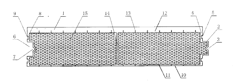 External thick wall panel and internal thin wall panel hollow co-extrusion wallboard