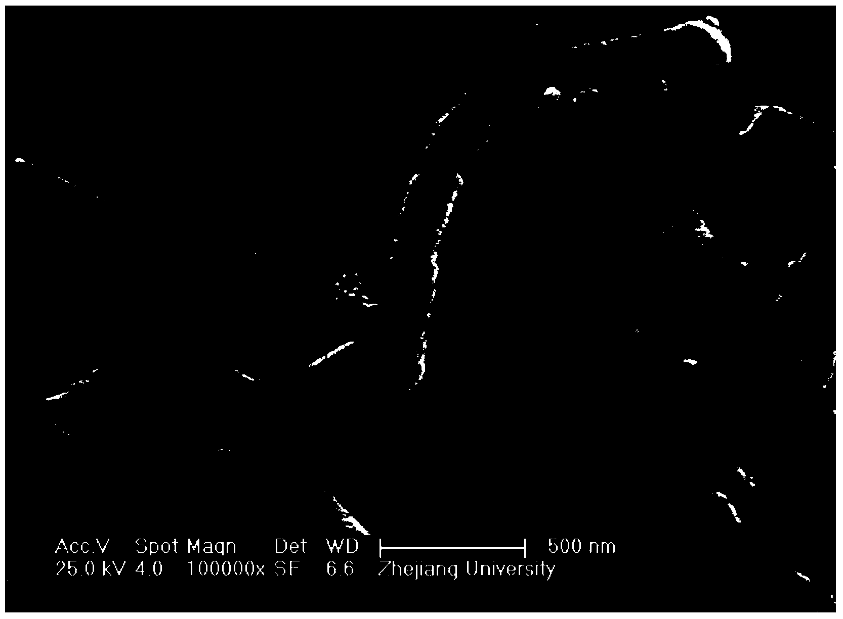 Composite nanometer filter material with catalytic function as well as preparation method and application of composite nanometer filter material