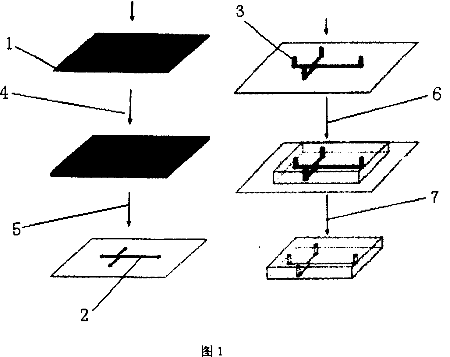 Process for extracting DNA from biological samples