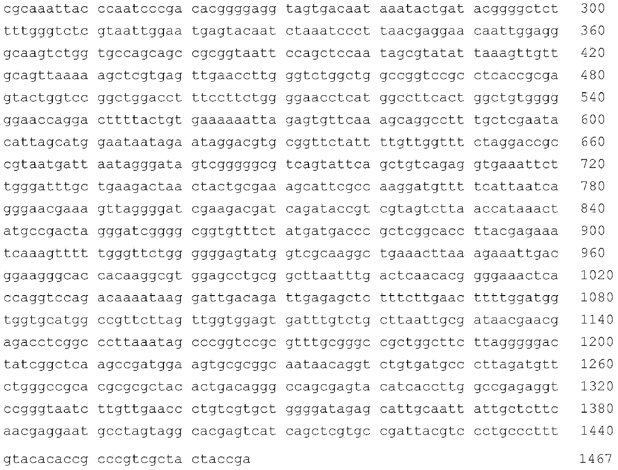 Aspergillus oryzae for converting ginsenoside Rg3 to produce Rh2, production method and application