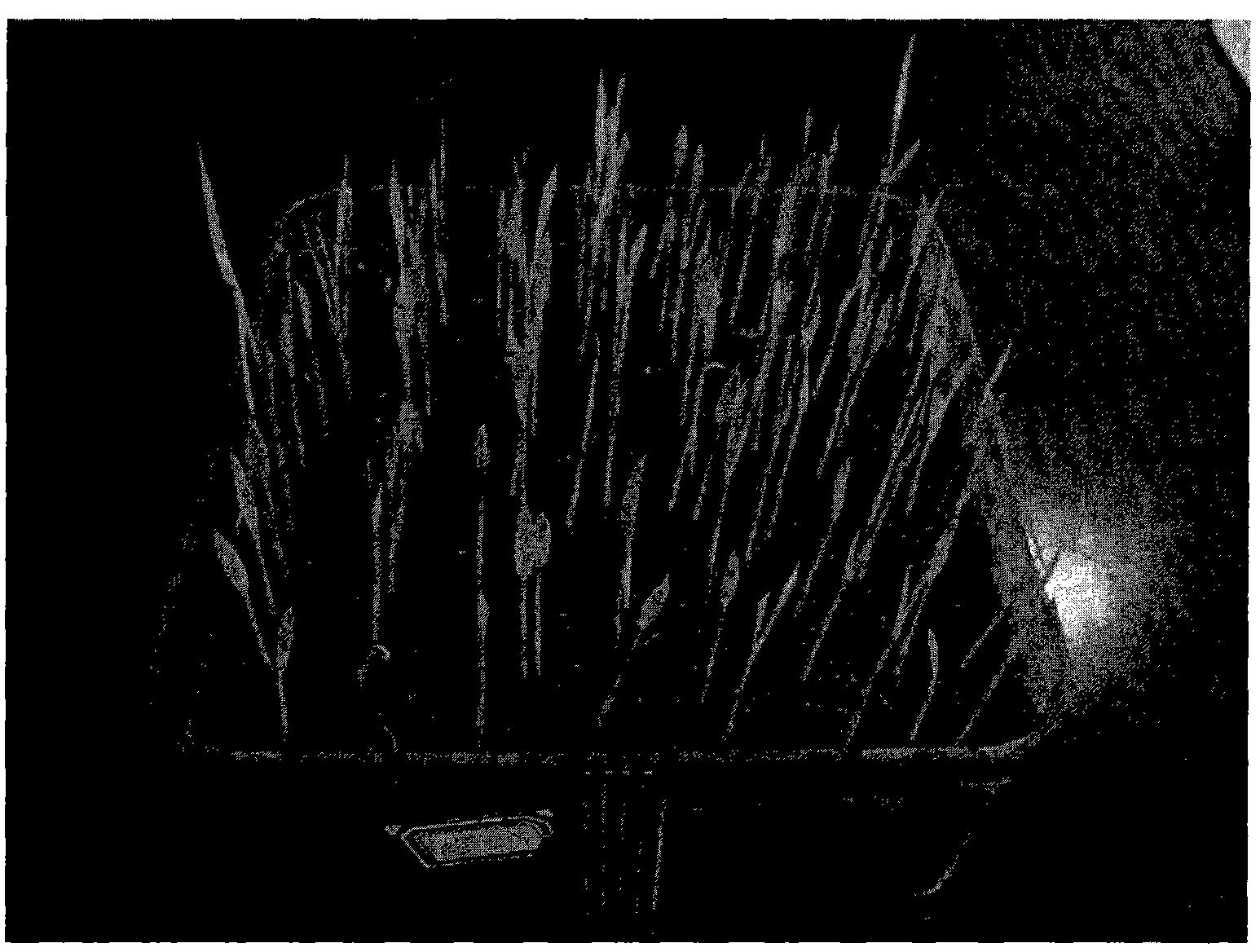 Charcoal-based rice seedling substrate and preparation method thereof