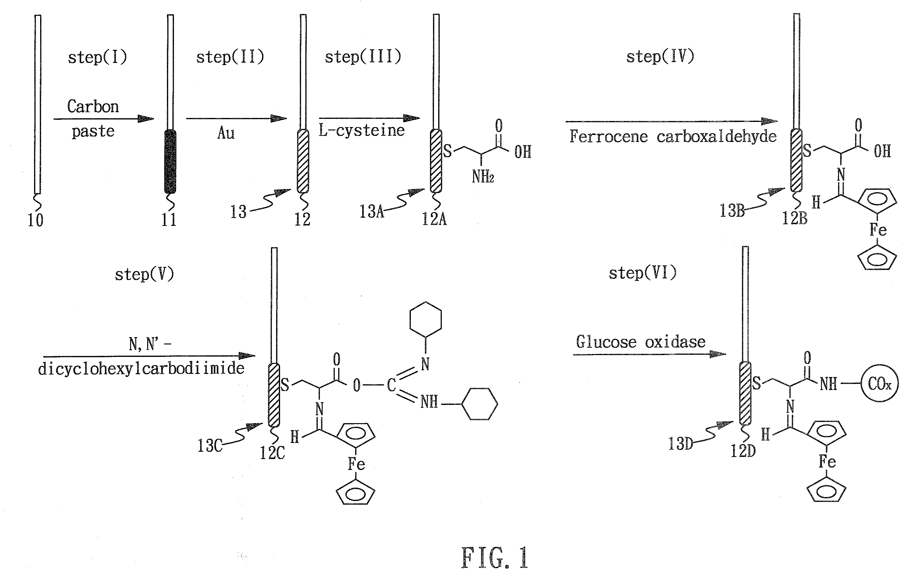 Enzyme electrode and method for producing the same