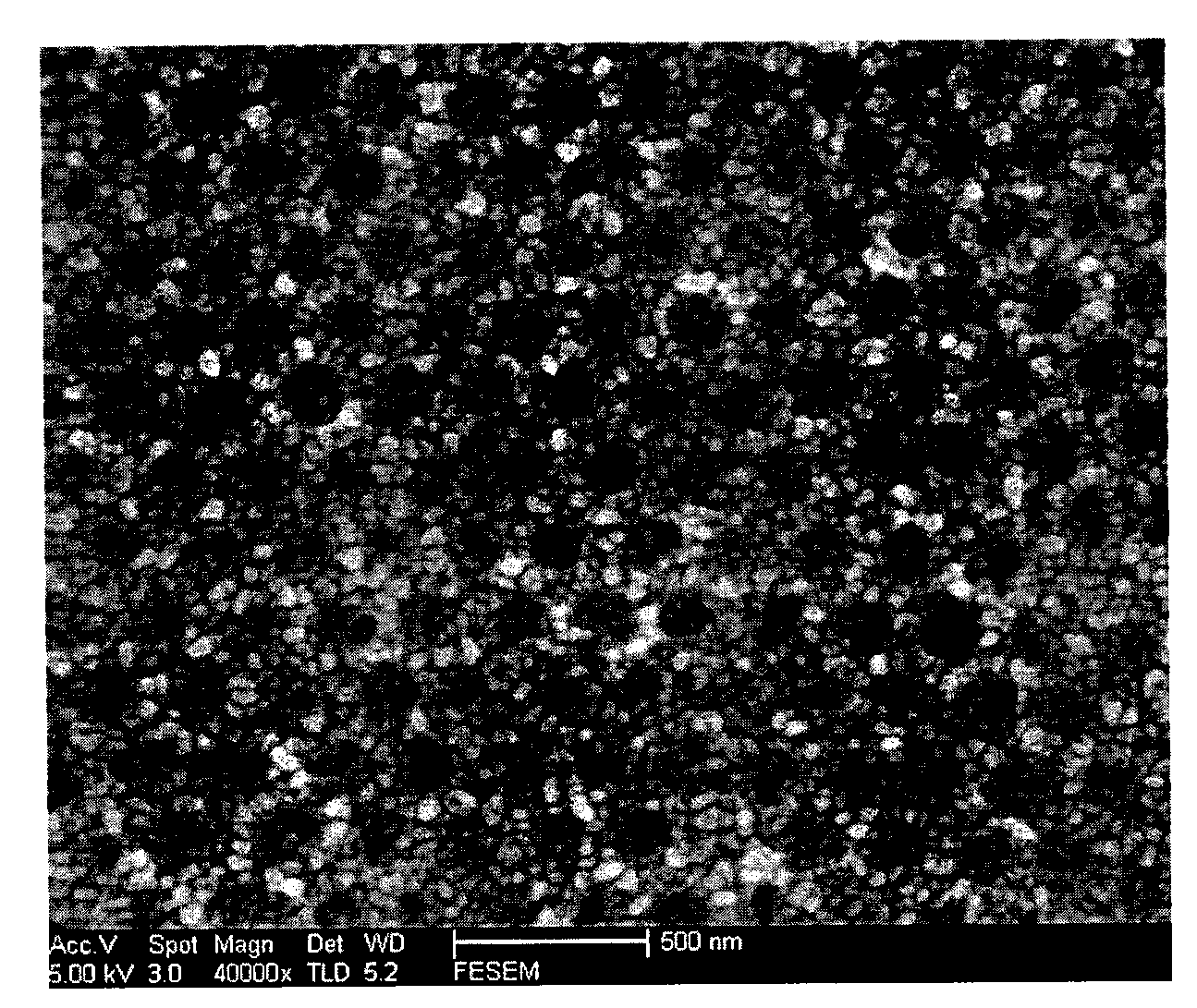 Ordered hole array with gold-nanoparticle-based micro-nanometer composite structure and preparation method for ordered hole array