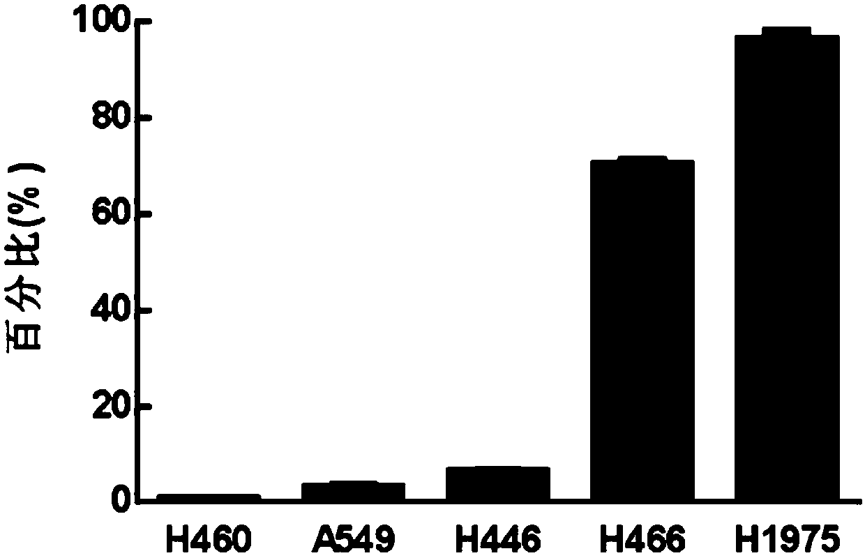 Anti-CD3 and anti-EpCAM bispecific antibody and application thereof in treating lung cancer