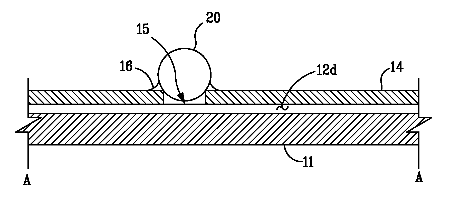 Protein detection system