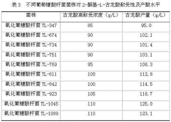 2-keto-L-gulonic acid high tolerance type gluconobacteroxydans and application thereof in vitamin C fermentation production