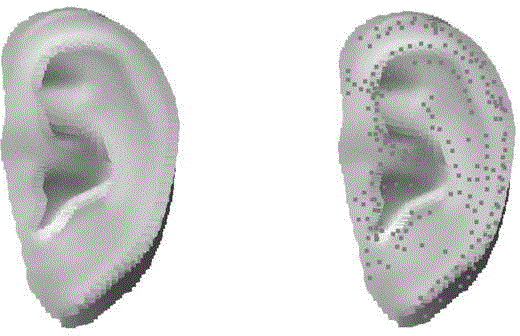 Method for describing three-dimensional auricle shape features based on local salience and two-dimensional main manifold