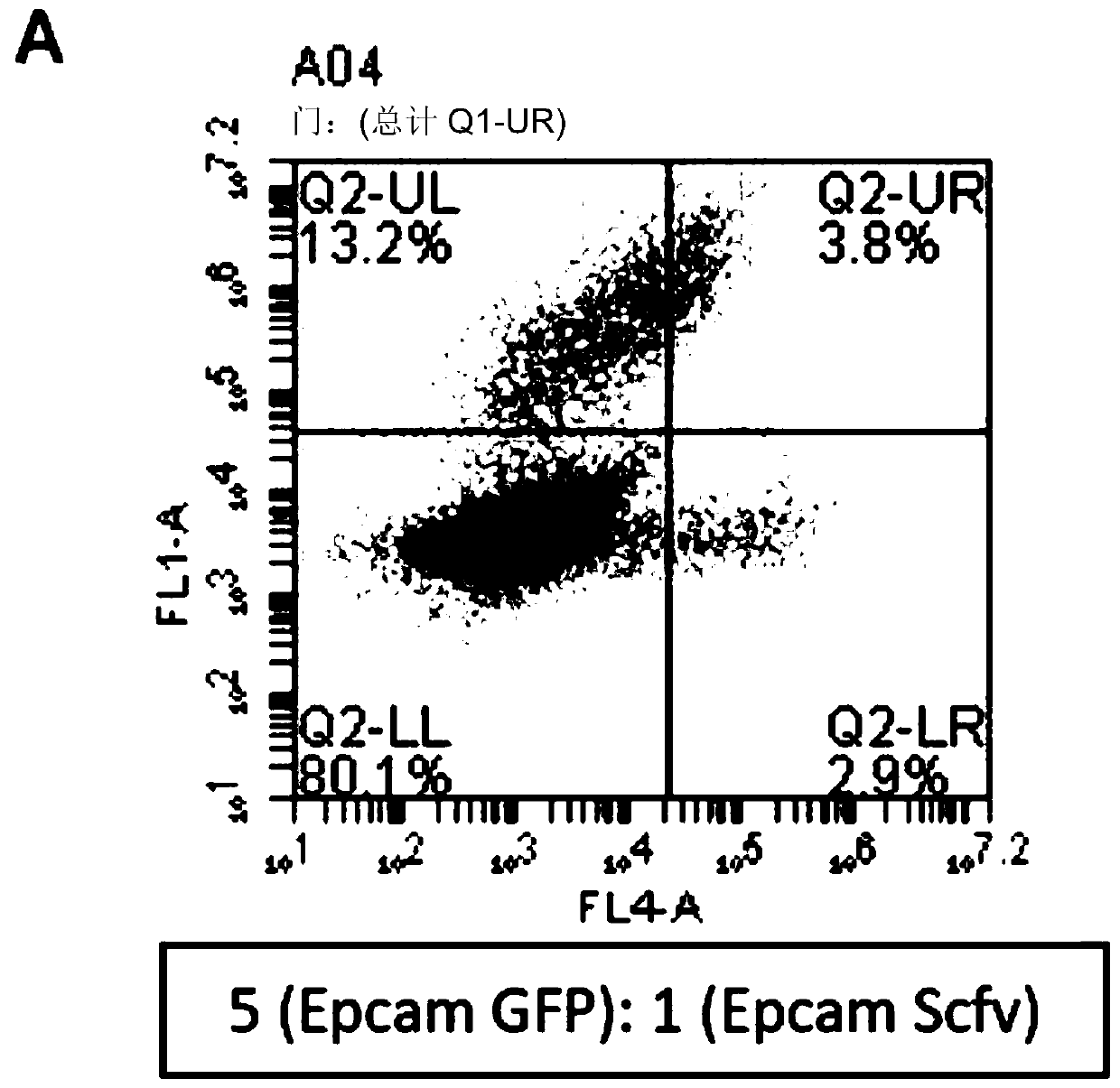 Method of selecting for antibodies