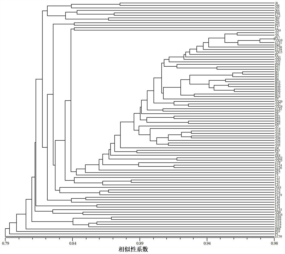 A method for analyzing the genetic diversity of Tsaoguo germplasm resources based on srap markers