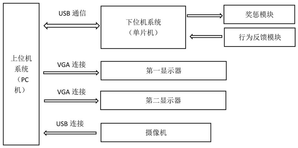 Bird visual cognition training system and method based on pecking behaviors