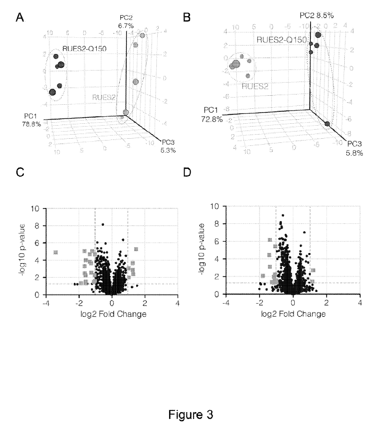 Embryonic Cell-Based Therapeutic Candidate Screening Systems, Models for Huntington's Disease and Uses Thereof