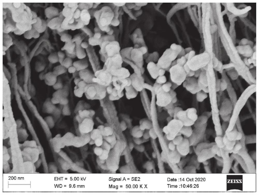 Carbon aerogel/metal organic framework composite material, preparation method and application thereof in gas storage