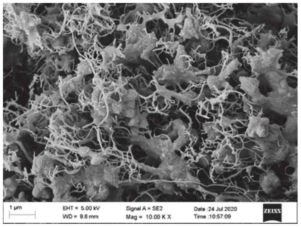 Carbon aerogel/metal organic framework composite material, preparation method and application thereof in gas storage