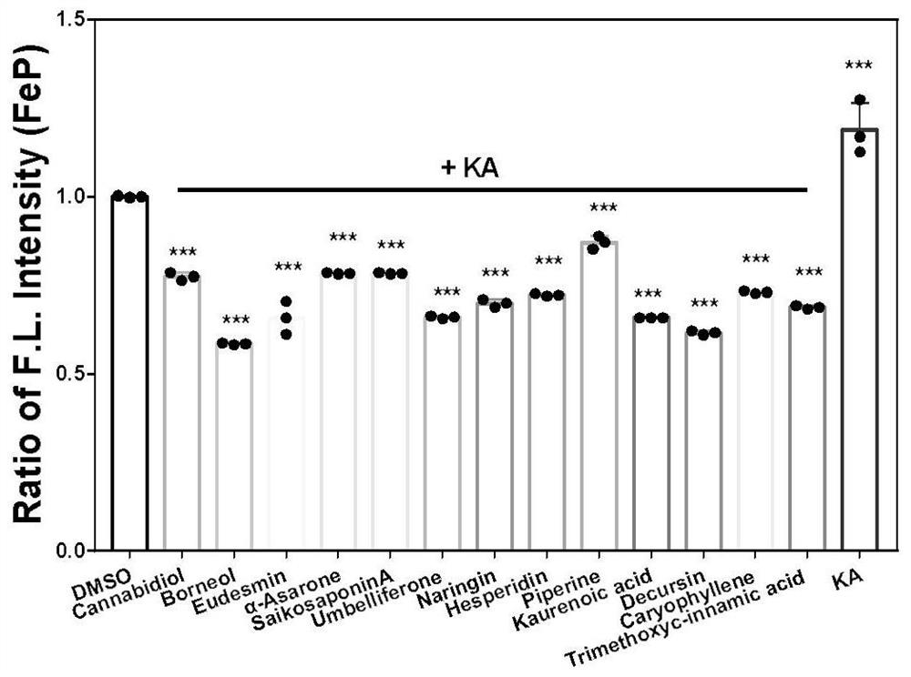 Application of ferroptosis-based key marker in high-throughput screening of anti-epileptic regulators