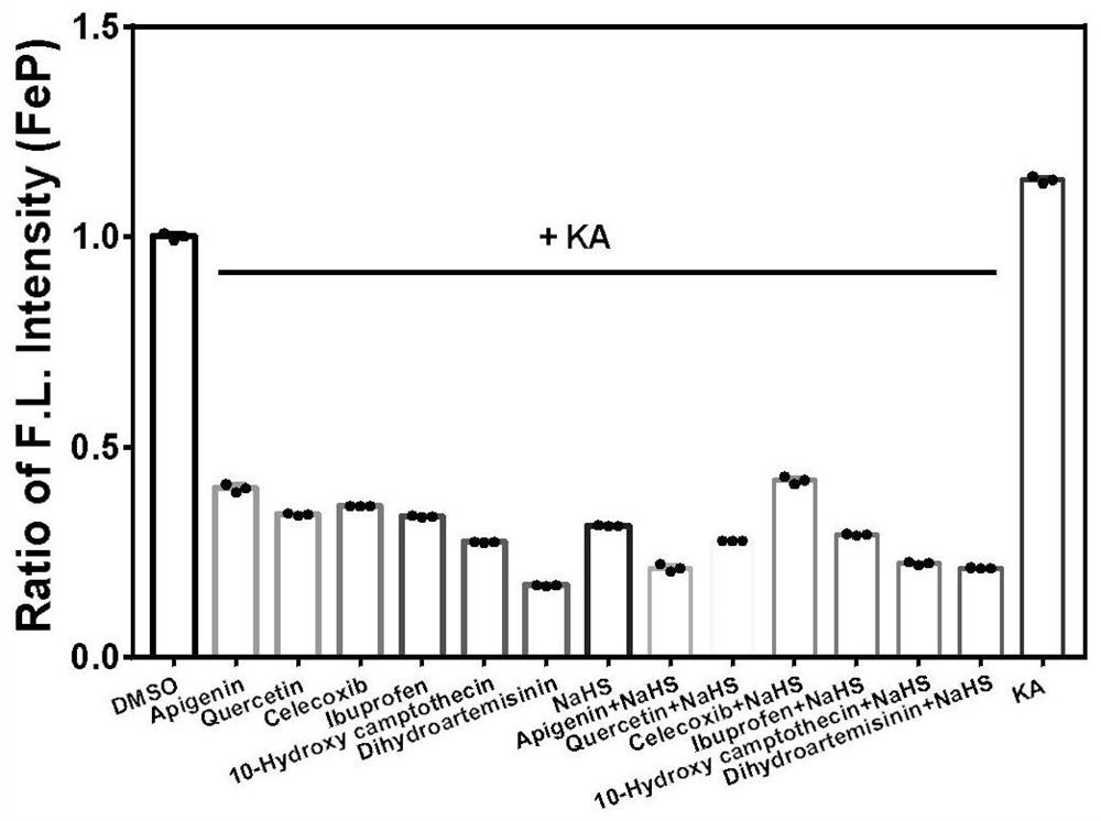 Application of ferroptosis-based key marker in high-throughput screening of anti-epileptic regulators