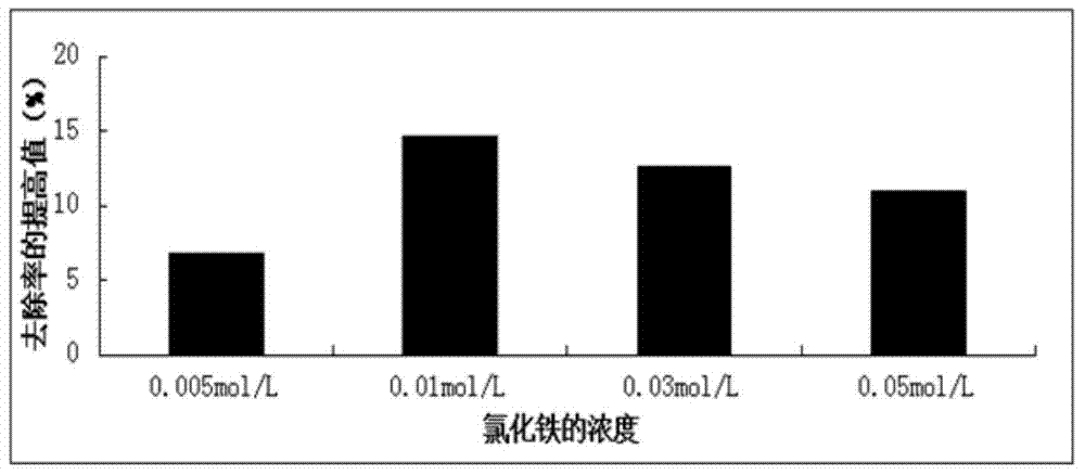 Method for adsorbing heavy metal ion chromium in water by using modified Ascophyllum Nodosum