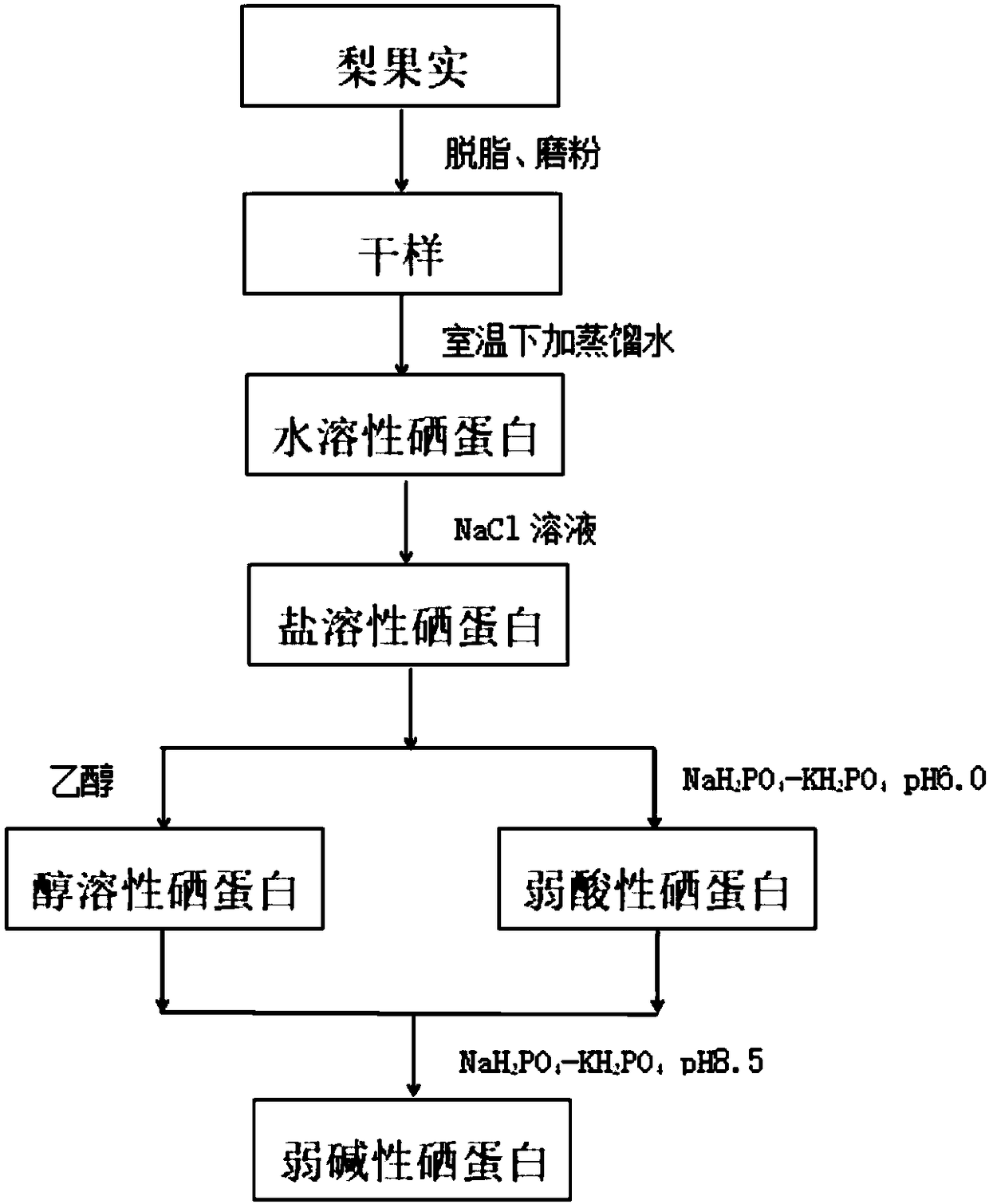 Extracting method of selenoprotein in pear fruit