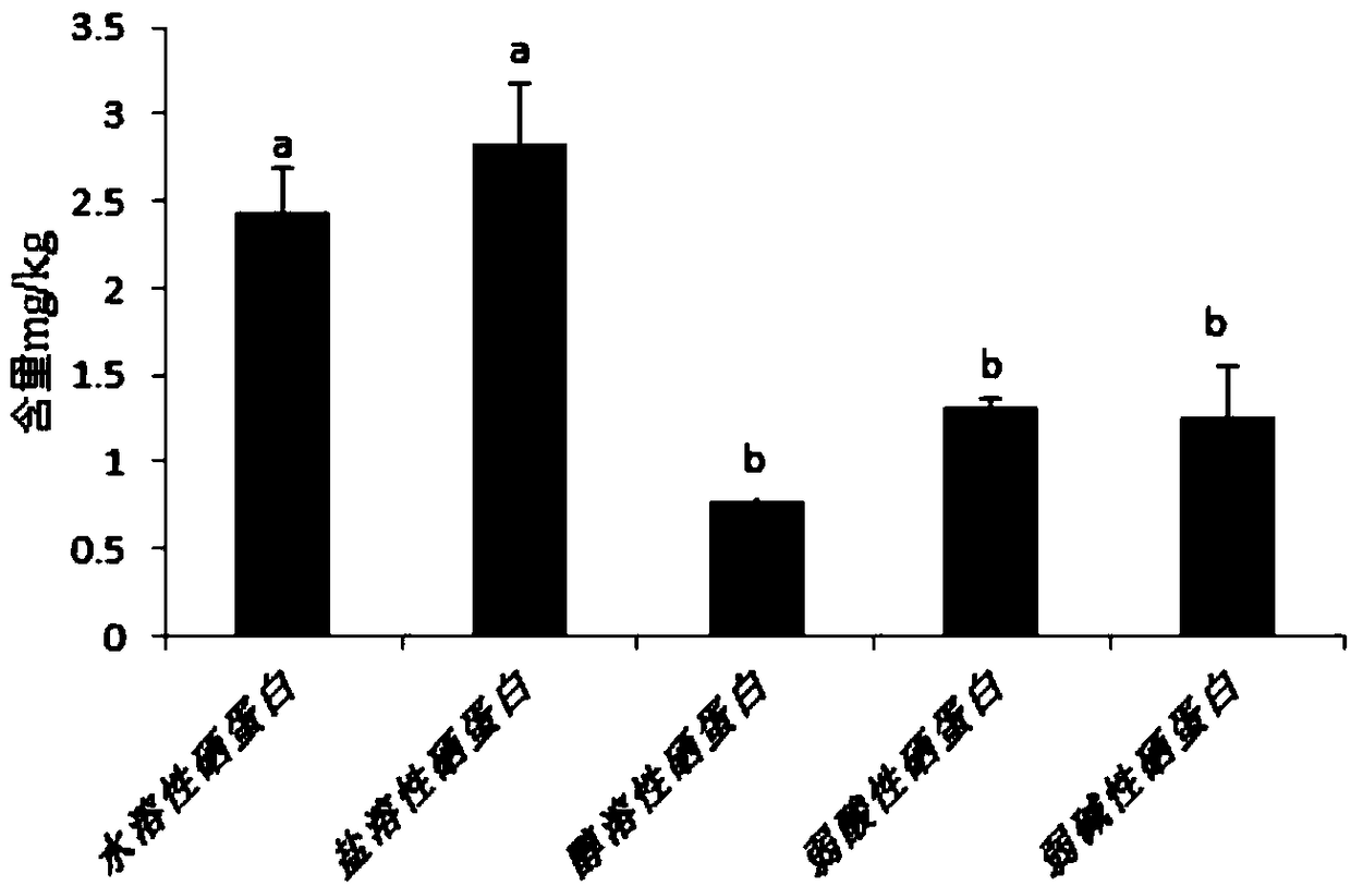 Extracting method of selenoprotein in pear fruit