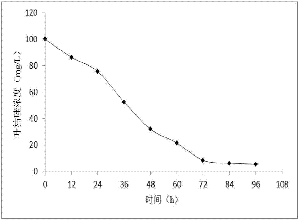 Degrading bacterium capable of eliminating plant fungicide residues and application of degrading bacterium