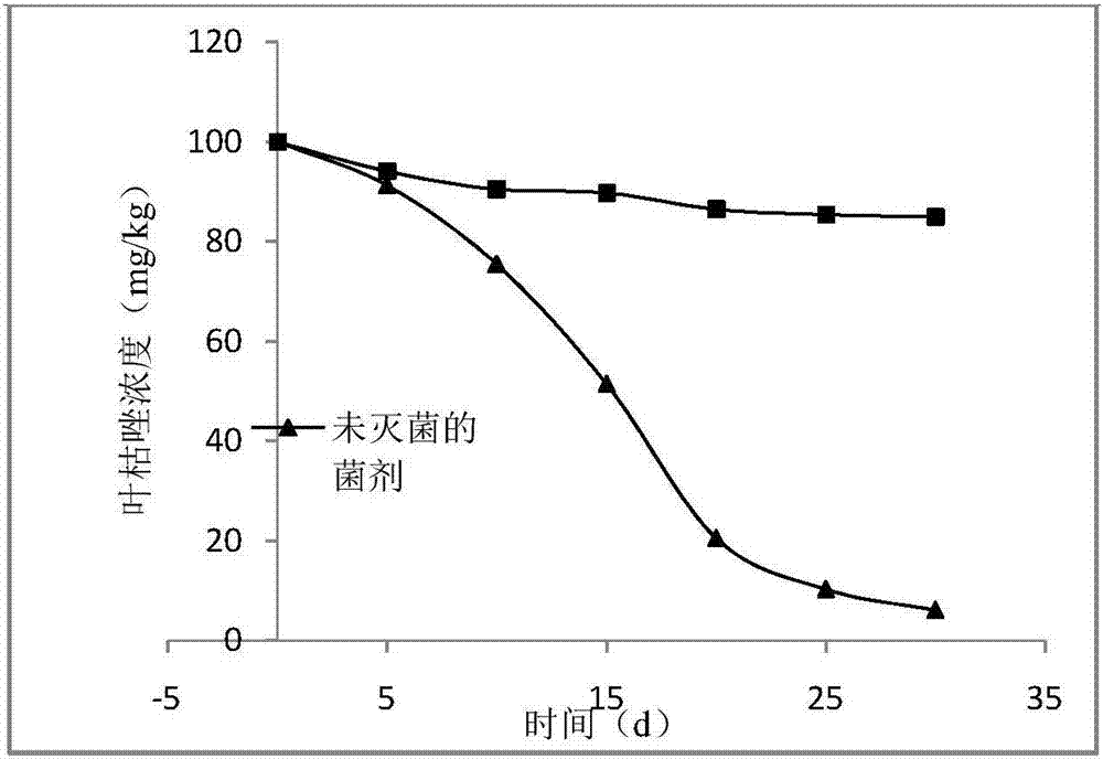 Degrading bacterium capable of eliminating plant fungicide residues and application of degrading bacterium