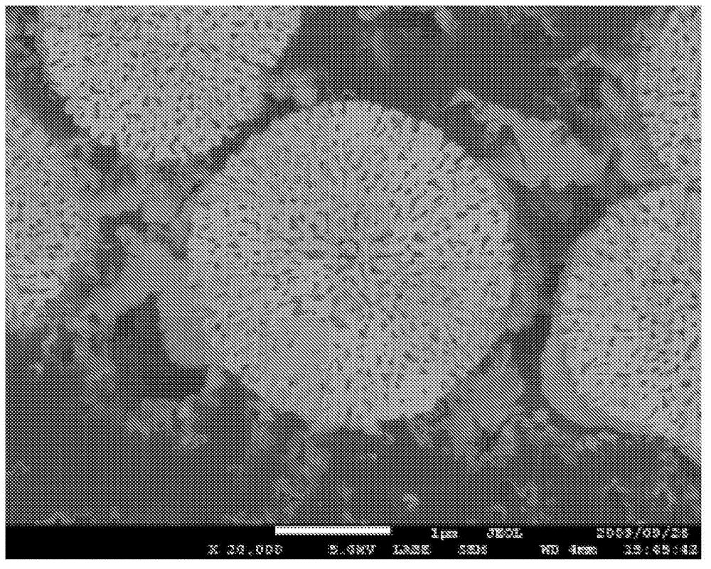 Metal particle and its production method