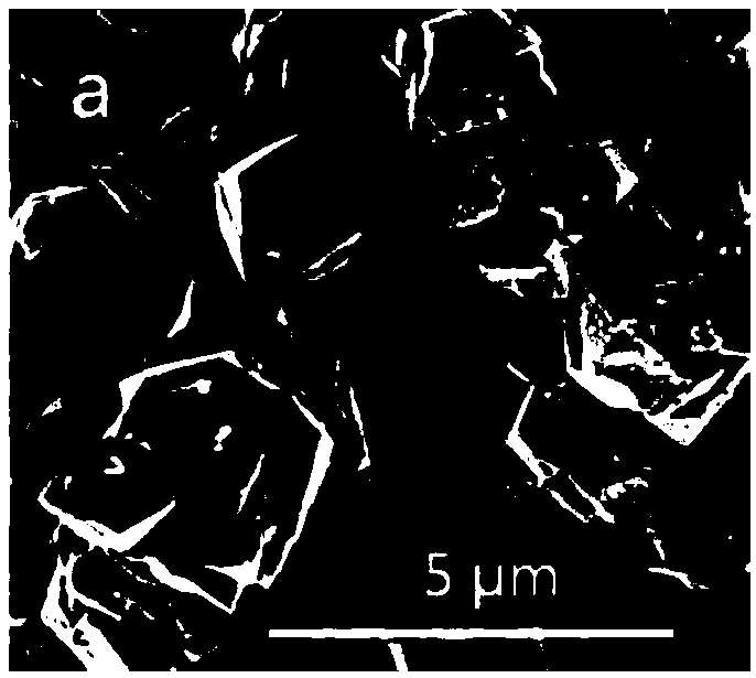 NaY molecular sieve preparation method and NaY molecular sieve prepared by NaY molecular sieve preparation method