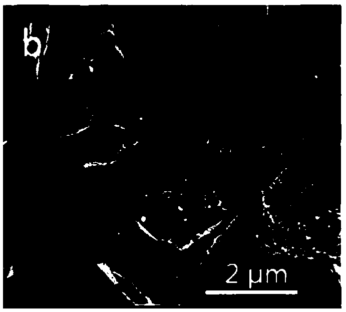 NaY molecular sieve preparation method and NaY molecular sieve prepared by NaY molecular sieve preparation method