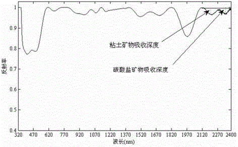 Method used for fast recognition of oil gas micro leakage and based on hyperspectral remote sensing data