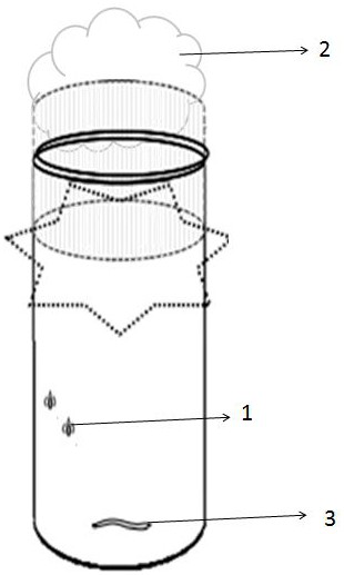 Indoor propagation method of Cotesia flavipes Cameron