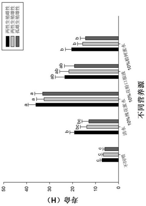 Indoor propagation method of Cotesia flavipes Cameron