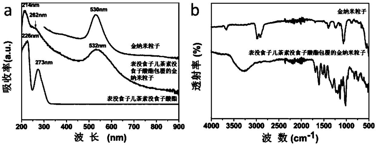 Noble metal nano particles modified by small medicine molecules as well as preparation method and applications of noble metal nano particles