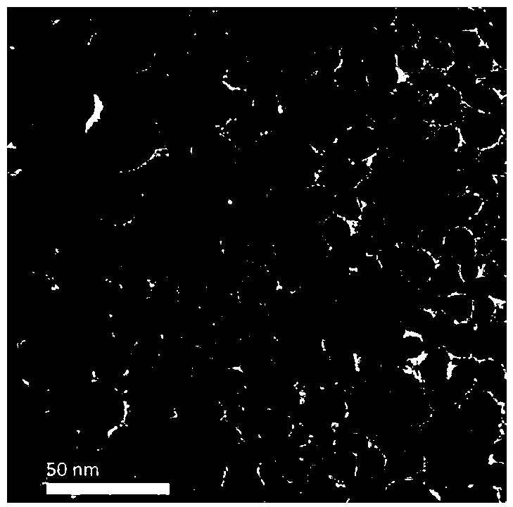 Noble metal nano particles modified by small medicine molecules as well as preparation method and applications of noble metal nano particles