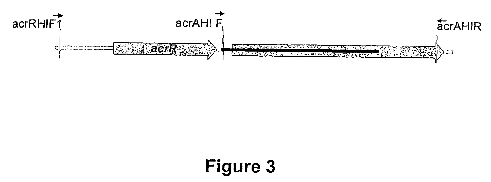 Method for Increasing the Susceptibility of Peptide Deformylase Inhibitors by Using Efflux Pump Inhibitors