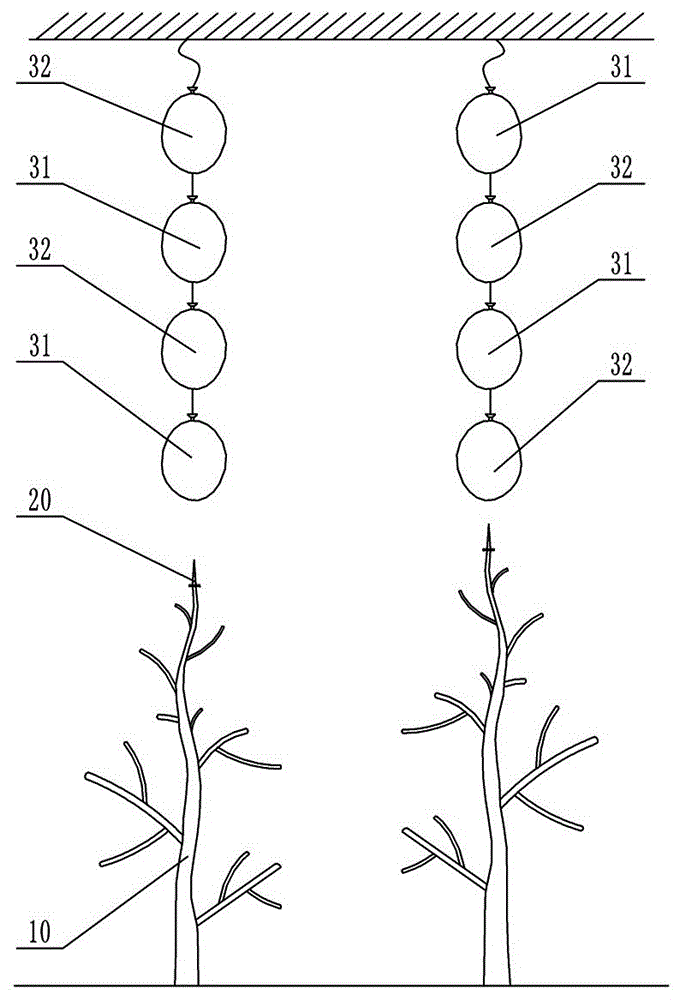 Automatic fertilizing device of peach tree