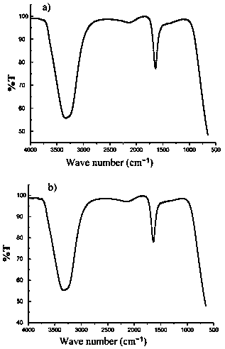 Isoptericola and method for using isoptericola for synthesizing nano silver