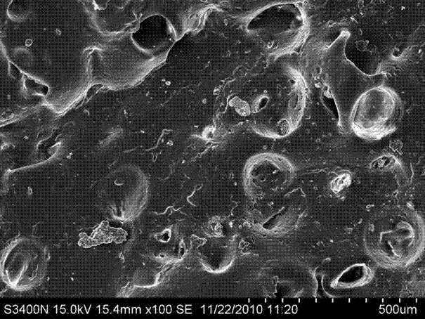 Preparation method of low temperature expandable graphite/polymer foam material