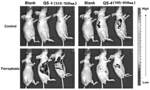 Fluorescent probes based on quinoxalinone aryl sulfides and their preparation methods and applications