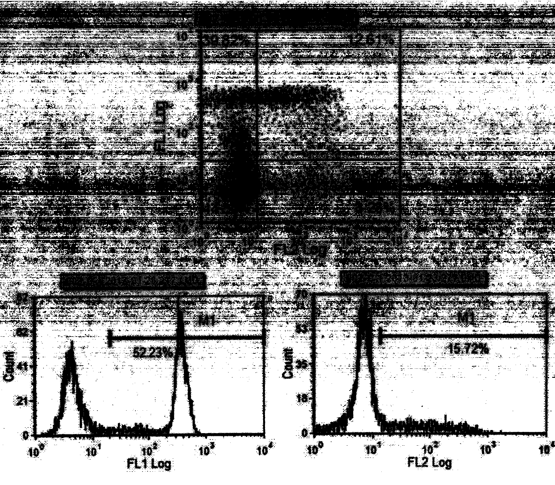 Preparation method for monkshood polysaccharide-induced nature killer T (NKT) cell proliferation and application thereof