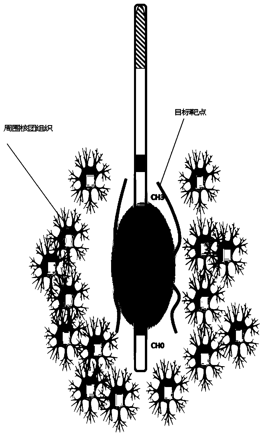 Deep brain targeted electrical stimulation system based on multi-channel independent current sink