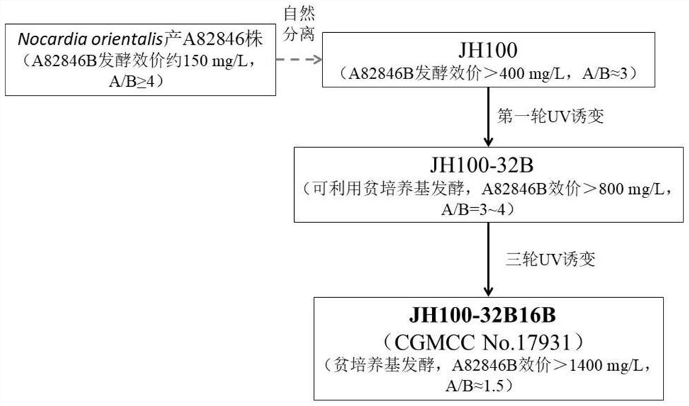 Producing strain of oritavancin intermediate and application of producing strain