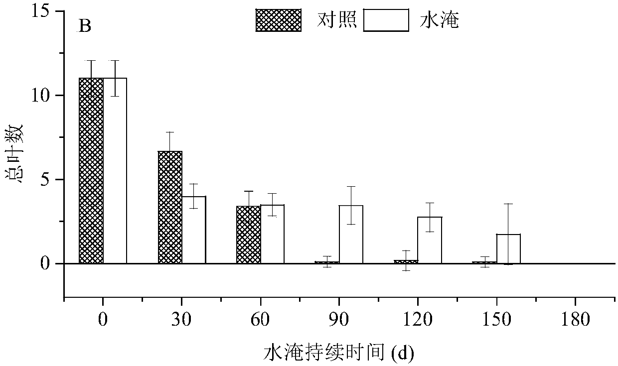 A method for repairing the water-fluctuation zone of a reservoir by using sage grass