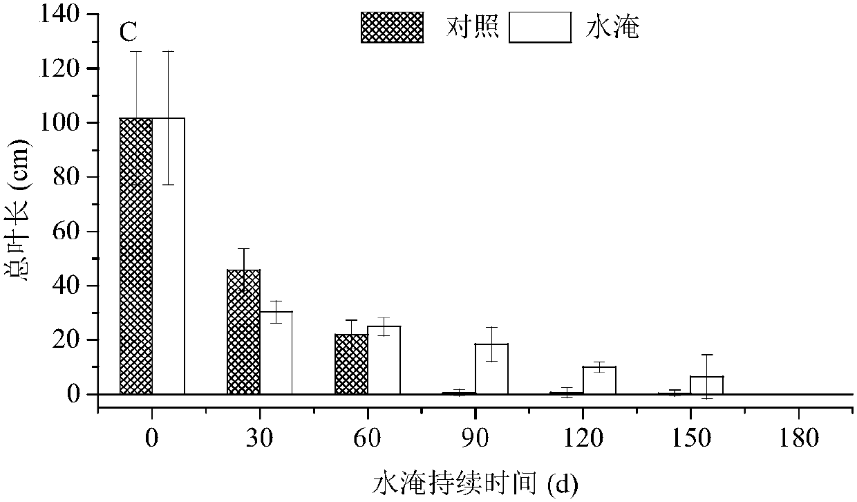 A method for repairing the water-fluctuation zone of a reservoir by using sage grass