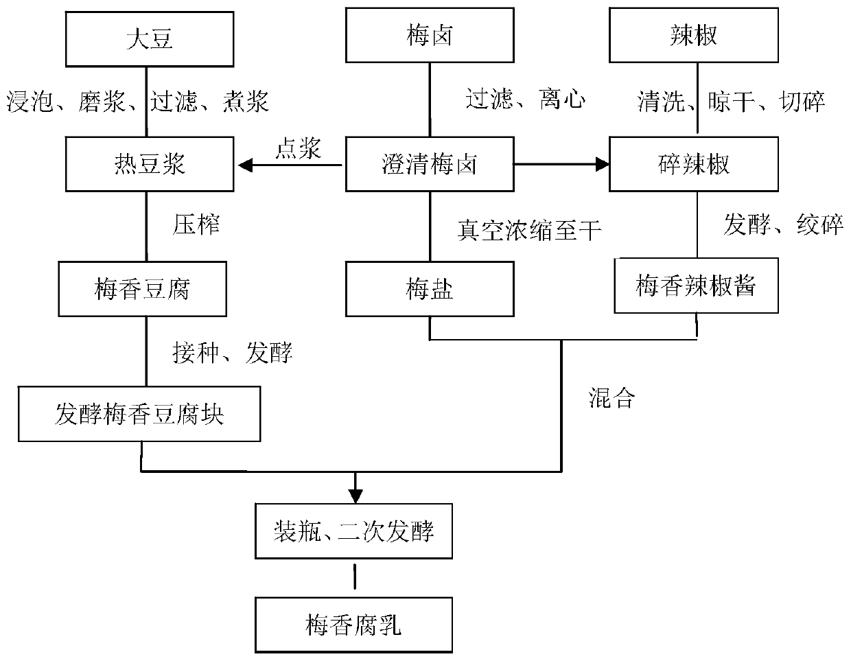 Method for preparing plum flavored fermented bean curd