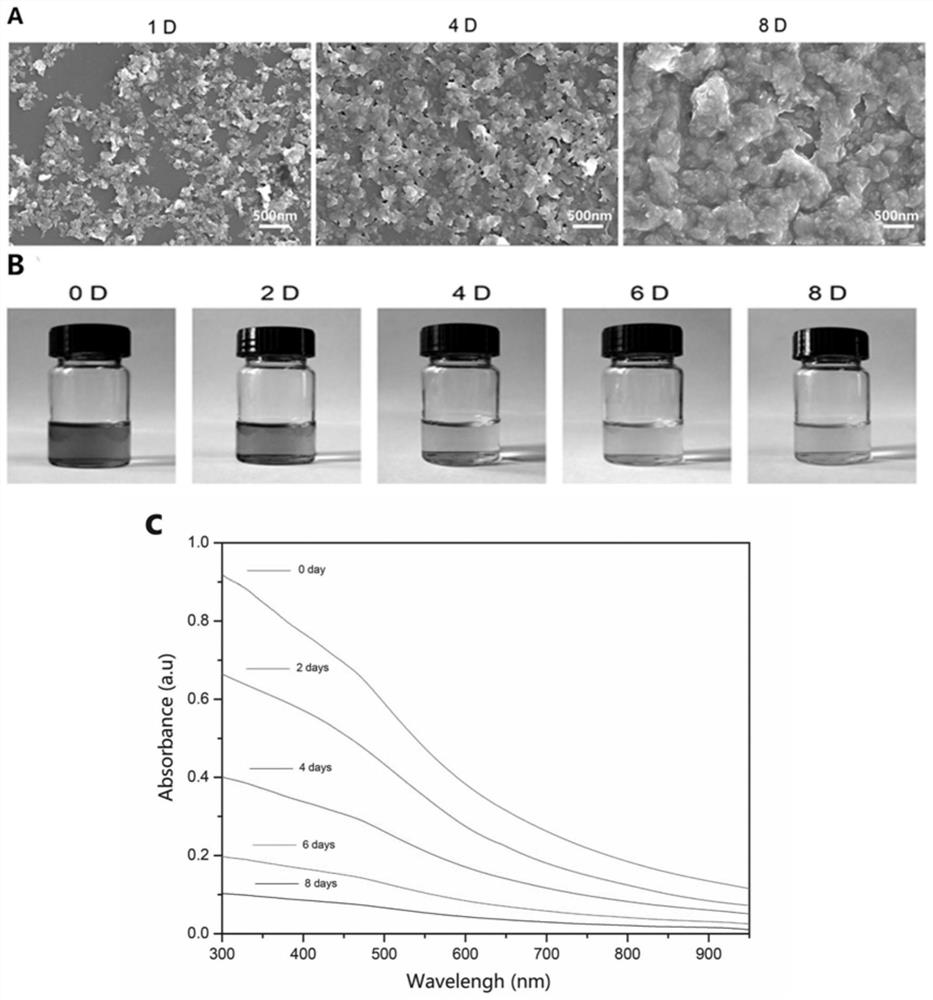 A kind of bpns/chitosan/prp thermosensitive hydrogel and its preparation method and application